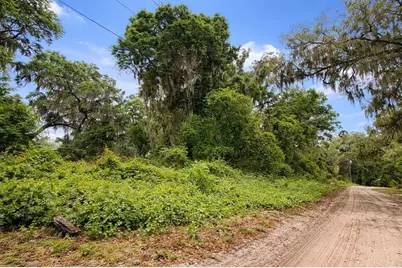 Tbd NE 52nd Court, Anthony, FL 32617 - Photo 1