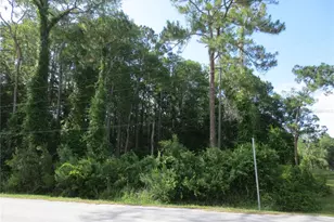 14655 NE 14th Street Rd, Silver Springs, FL 34488 - Photo 1