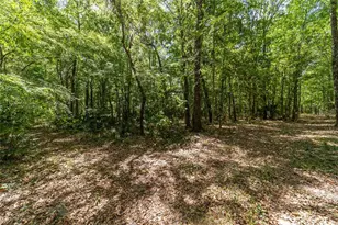 20005 NW 135th Ave, Micanopy, FL 32667 - Photo 95