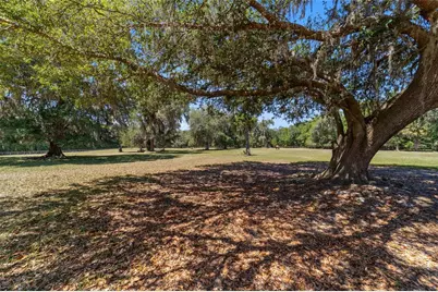 20005 NW 135th Avenue, Micanopy, FL 32667 - Photo 87