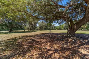 20005 NW 135th Ave, Micanopy, FL 32667 - Photo 87