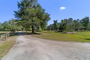 20005 NW 135th Ave, Micanopy, FL 32667 - Photo 91