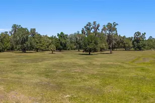 20005 NW 135th Ave, Micanopy, FL 32667 - Photo 85