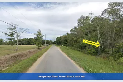 4536 Black Oak Road, Milton, FL 32583 - Photo 13