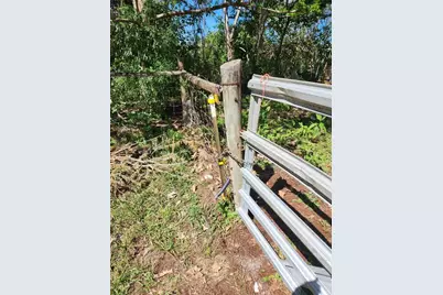 16415 SE 210th Terrace, Hawthorne, FL 32640 - Photo 5