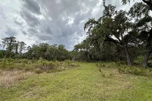 6800 NE 175th Street Rd, Citra, FL 32113 - Photo 21