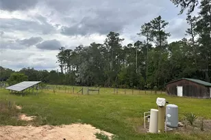 6800 NE 175th Street Rd, Citra, FL 32113 - Photo 15