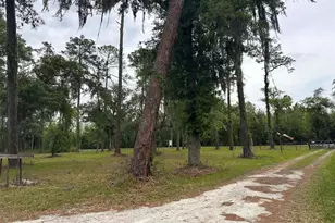 6800 NE 175th Street Rd, Citra, FL 32113 - Photo 5