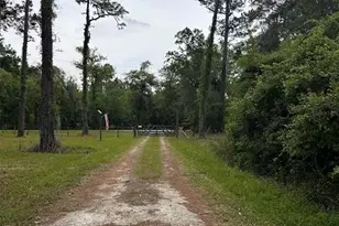 6800 NE 175th Street Rd, Citra, FL 32113 - Photo 7