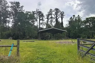 6800 NE 175th Street Rd, Citra, FL 32113 - Photo 21