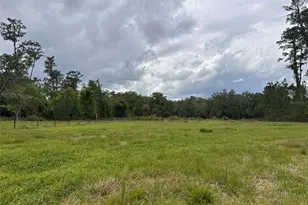 6800 NE 175th Street Rd, Citra, FL 32113 - Photo 17