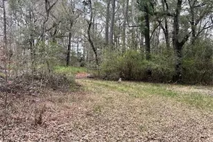 1247 Woodville Hwy, Crawfordville, FL 32327 - Photo 7