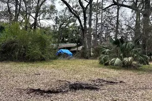 1247 Woodville Hwy, Crawfordville, FL 32327 - Photo 5