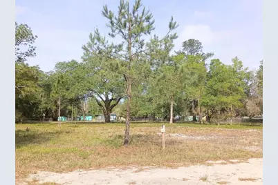 Ne 141st Ct, Fort Mc Coy, FL 32134 - Photo 3