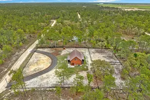 2271 SE 147th Ave, Morriston, FL 32668 - Photo 53