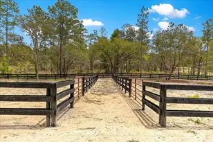 2271 SE 147th Ave, Morriston, FL 32668 - Photo 49