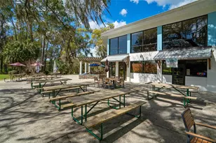 9660 SW 196th Avenue Rd, Dunnellon, FL 34432 - Photo 63