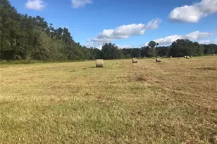 32nd Ct, Reddick, FL 32686 - Photo 1