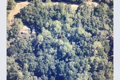 0 SW 158 Lane, Dunnellon, FL 34432 - Photo 5