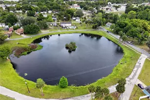 431 Edgewater Ave, Umatilla, FL 32784 - Photo 3