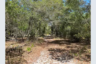Tbd SE 62nd, Morriston, FL 32668 - Photo 7