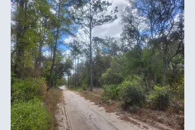 7446 SW 151st Place, Dunnellon, FL 34432 - Photo 3