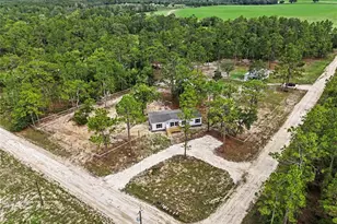 1191 NE 124th Terrace, Williston, FL 32696 - Photo 3