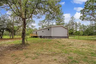 1191 NE 124th Terrace, Williston, FL 32696 - Photo 27