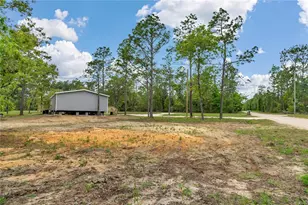 1191 NE 124th Terrace, Williston, FL 32696 - Photo 41