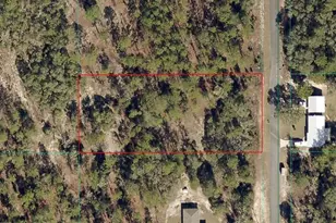 Tbd Lot 2 SW Persimmon Ln, Dunnellon, FL 34431 - Photo 1