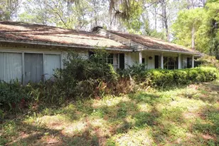 2650 SE Hwy 41, Morriston, FL 32668 - Photo 3