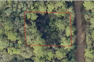 00 NE 66th Ct, Citra, FL 32113 - Photo 1