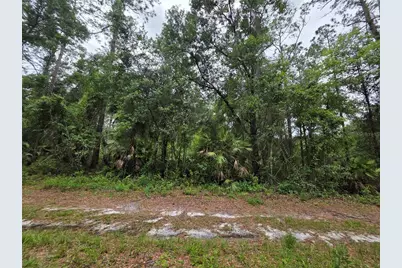 00 NE 66th Court, Citra, FL 32113 - Photo 3