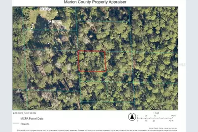 00 NE 69th Avenue, Citra, FL 32113 - Photo 3