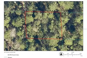 00 NE 69th Ave, Citra, FL 32113 - Photo 1