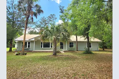 24595 NE Highway 315, Fort Mc Coy, FL 32134 - Photo 1