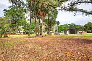 14271 NE 47th Ave, Anthony, FL 32617 - Photo 85