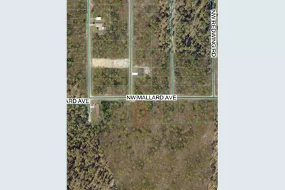 Nw Mallard Avenue, Dunnellon, FL 34431 - Photo 1