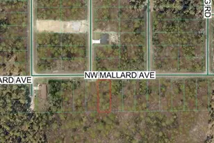 NW Mallard Ave, Dunnellon, FL 34431 - Photo 1