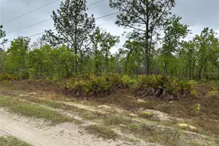 SW 95th Pl, Dunnellon, FL 34432 - Photo 1