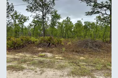 Sw 95th Pl, Dunnellon, FL 34432 - Photo 5