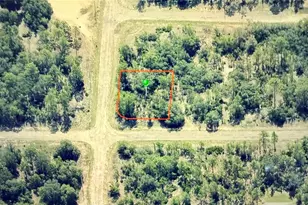 6679 N Northvale Terrace, Dunnellon, FL 34433 - Photo 1