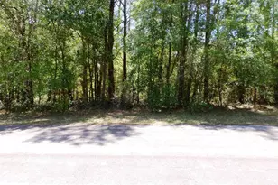 1361 W St Elizabeth Pl, Citrus Springs, FL 34434 - Photo 23