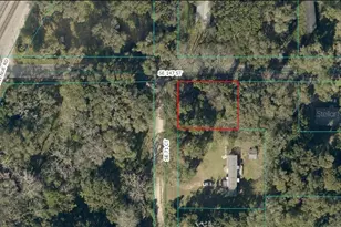 Tbd SE 147th St, Summerfield, FL 34491 - Photo 1