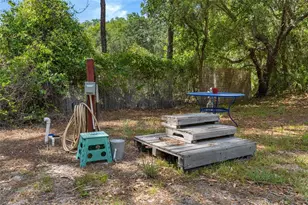 6946 E Channel Dr, Hernando, FL 34442 - Photo 31