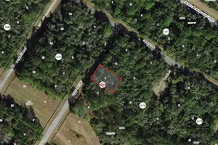 762 E Elgrove Dr, Dunnellon, FL 34434 - Photo 1