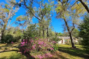 7912 SW 186th Cir, Dunnellon, FL 34432 - Photo 51