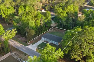 15541 NE 13 Ln, Williston, FL 32696 - Photo 7