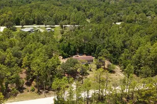 14050 SE 20 St, Morriston, FL 32668 - Photo 33