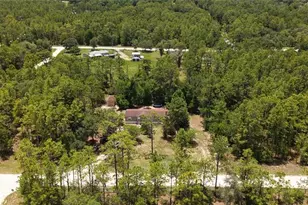 14050 SE 20 St, Morriston, FL 32668 - Photo 31